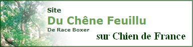 chien de france